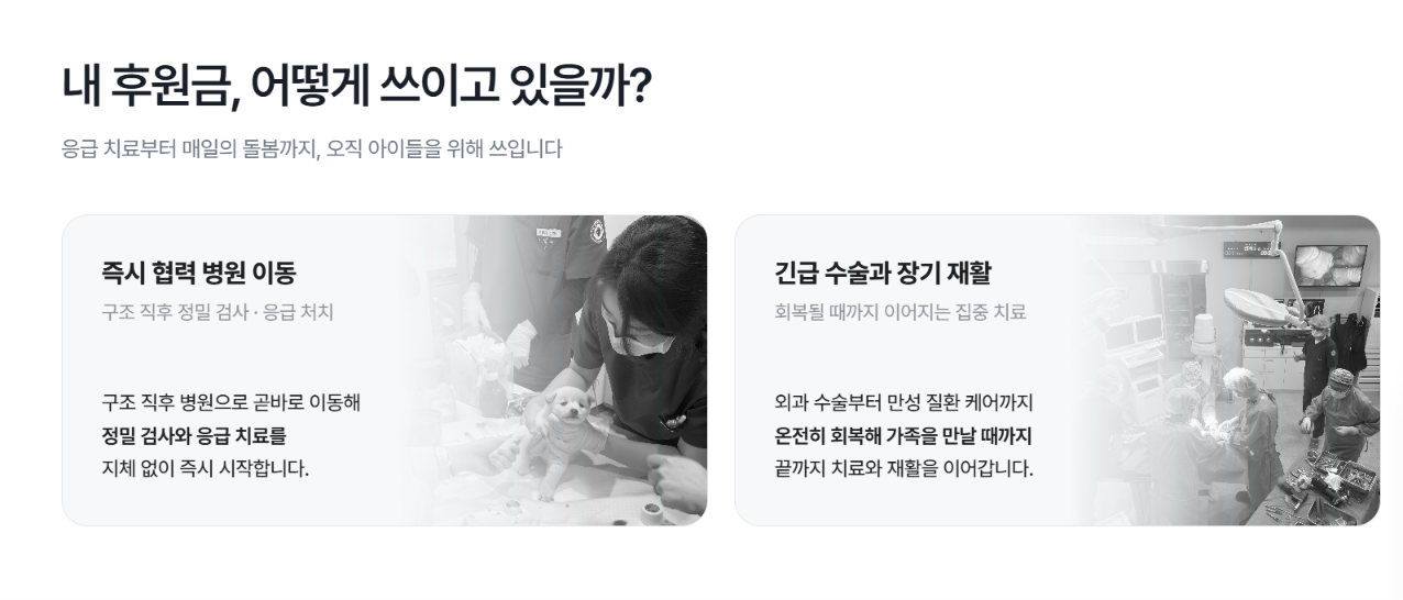 내 후원금 어떻게 쓰이고 있을까